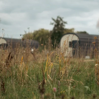 New_Farm_Glamping-3