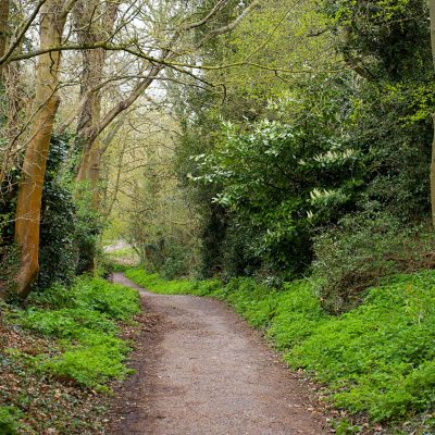 Whitegate Way_Cheshire